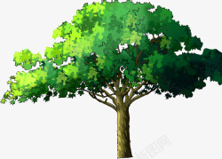 绿色手绘景观植物大树装饰素材