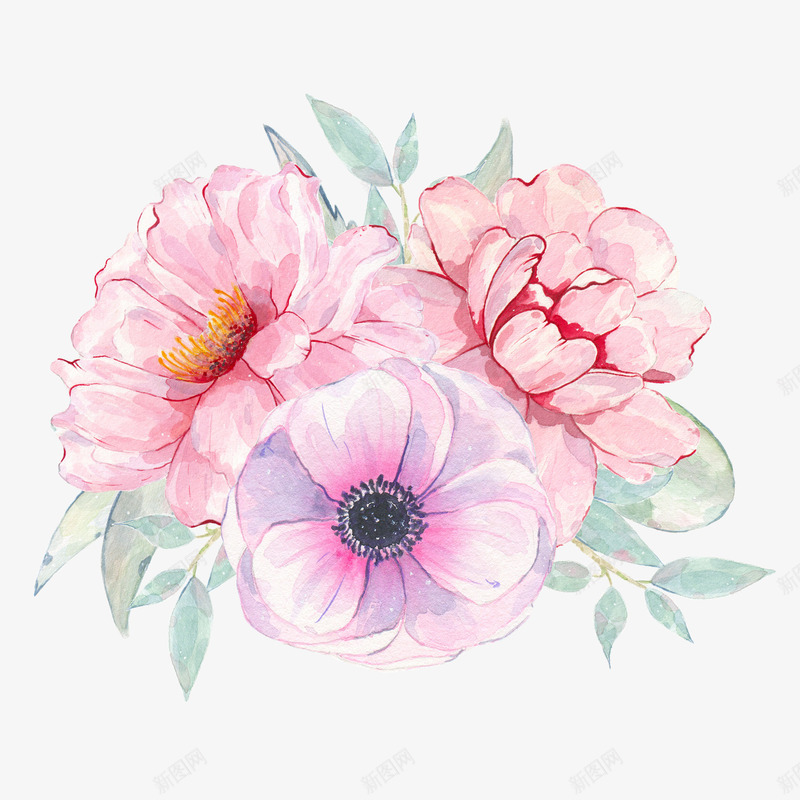 水彩粉色花朵简图png免抠素材_新图网 https://ixintu.com 叶子 手绘图 植物 水彩 美丽的 花卉 花朵