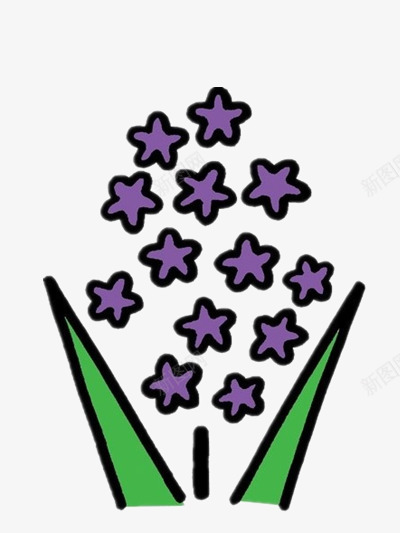 高雅的满天星花朵png免抠素材_新图网 https://ixintu.com 植物 紫色 美丽