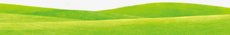绿色草坪背景png免抠素材_新图网 https://ixintu.com 图片 素材 绿色 背景 草坪