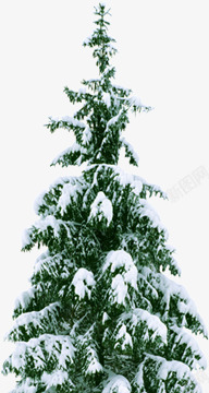 雪景冬日创意大树素材