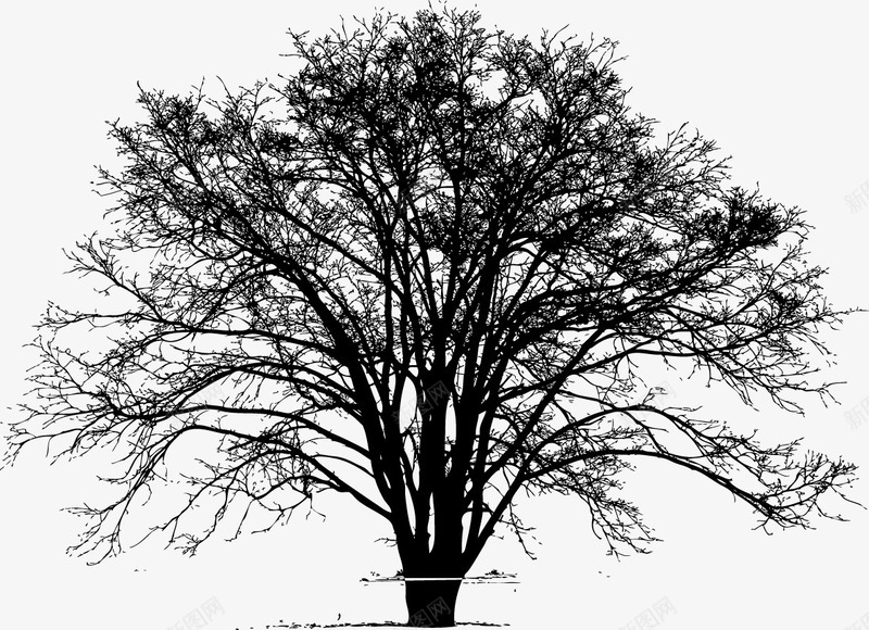 高大的树矢量图ai免抠素材_新图网 https://ixintu.com psd树线稿 大树 树 植物 矢量图 素描