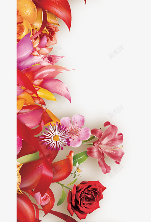 红色美丽鲜花边框png免抠素材_新图网 https://ixintu.com 红色花朵 美丽花朵 花朵 花束 花蕊 边框纹理 鲜花