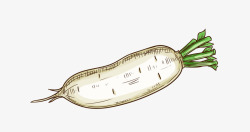 卡通冬季时令蔬菜萝卜矢量图素材
