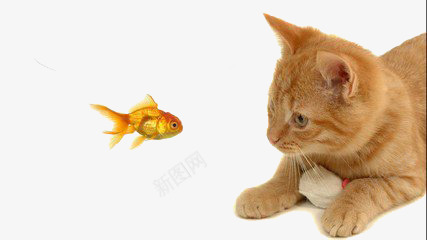 小猫和小鱼png免抠素材_新图网 https://ixintu.com 卡通创意 小猫 小鱼