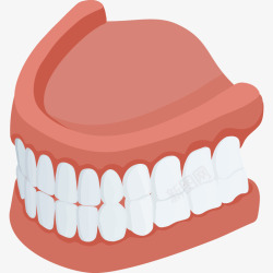 牙床牙科用品高清图片