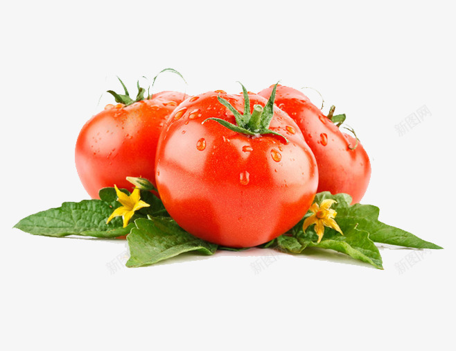 红色番茄生鲜png免抠素材_新图网 https://ixintu.com 生鲜 番茄 素材 红色