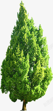 环保绿色大树装饰素材