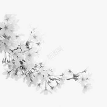 飘浮花朵png免抠素材_新图网 https://ixintu.com 树枝 植物 白色