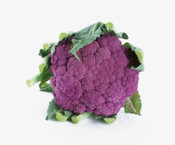 紫色花椰菜紫色的花菜片高清图片
