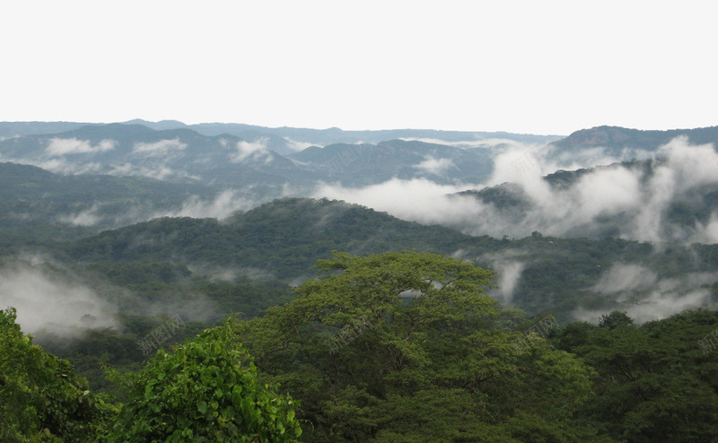 云雾环绕美景png免抠素材_新图网 https://ixintu.com 仙山 山川 摄影 旅游 景点 景色 植物 美景