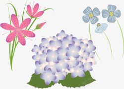 棉花花束美丽的花朵高清图片