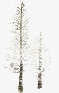 冬季笔直大树韩式素材