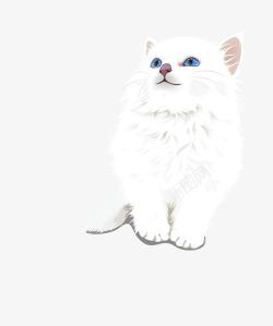 卡通手绘可爱的小猫素材