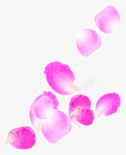 紫色唯美漂浮花瓣素材