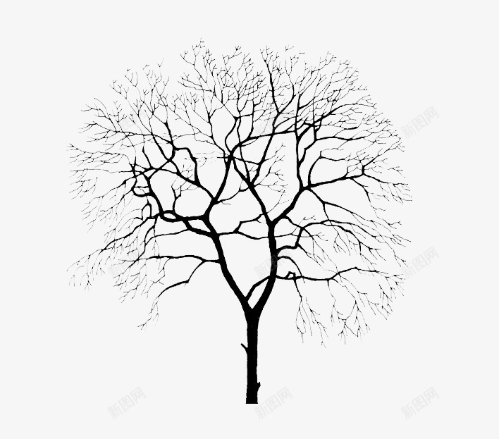 冬天的树木树干png免抠素材_新图网 https://ixintu.com 冬天 树干 树木