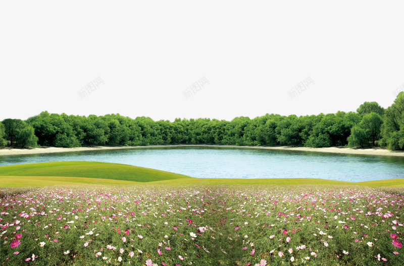 湖边景色png免抠素材_新图网 https://ixintu.com 树林 清新海报设计 湖 花丛