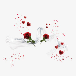 丝绸漂浮素材白色丝绸上的红玫瑰高清图片