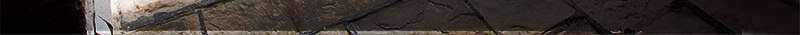 地产广告元素石门前的大树png免抠素材_新图网 https://ixintu.com 地产广告元素石门前的大树 大门 植物 欧式建筑 绿色