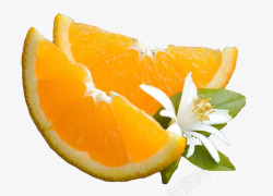 切瓣切瓣橙子高清图片