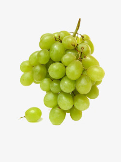 葡萄白白葡萄装饰水果高清图片