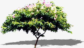 粉色花朵大树景观装饰png免抠素材_新图网 https://ixintu.com 大树 景观 粉色 花朵 装饰