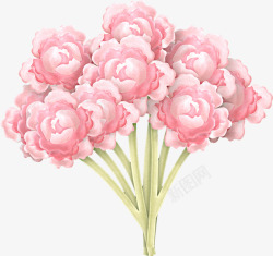 手绘粉红花朵素材