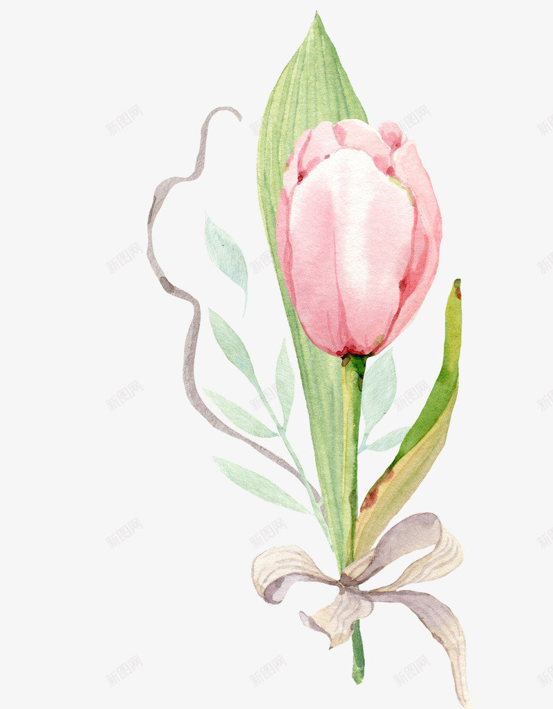 美丽的郁金香手绘图png免抠素材_新图网 https://ixintu.com 叶子 手绘图 植物 绿植 美丽的 花朵 郁金香