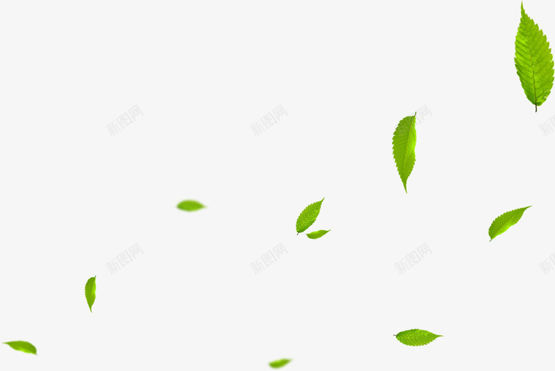 绿色卡通树叶漂浮植物png免抠素材_新图网 https://ixintu.com 卡通 树叶 植物 漂浮 绿色