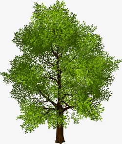 大自然绿色大树素材