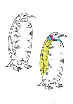 手绘线条企鹅素材