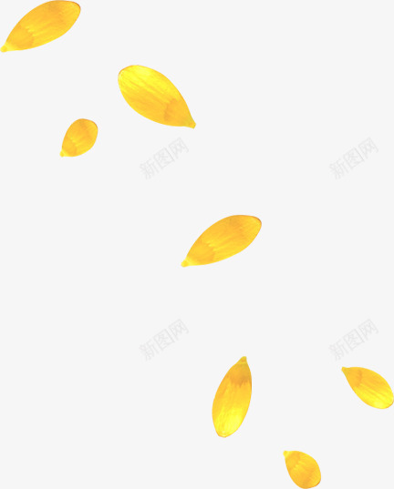 金黄色质感漂浮叶子png免抠素材_新图网 https://ixintu.com 叶子 漂浮 质感 金黄色