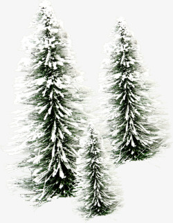 冬日时尚大树雪景装饰素材