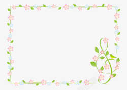 树藤型边框粉色美丽花朵藤蔓框架高清图片