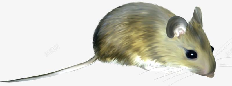 老鼠png免抠素材_新图网 https://ixintu.com 动物 卡通动物 老鼠 鼠类