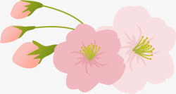春天花骨朵粉色美丽春季花朵高清图片