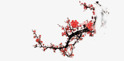 冬梅梅花树枝高清图片