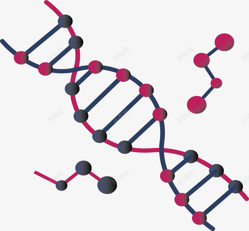 生物科技双螺旋结构矢量图ai免抠素材_新图网 https://ixintu.com DNA分子 二氧化碳分子结构 分子 分子结构 双螺旋 生物分子 矢量png 矢量图