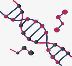生物分子结构生物科技双螺旋结构矢量图高清图片