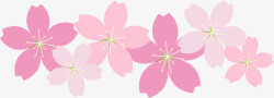 春天粉色美丽喇叭花素材