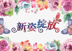 新姿绽放新姿绽放艺术字高清图片
