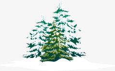 绿色雪松png免抠素材_新图网 https://ixintu.com 圣诞节 松树 树木 绿色 雪松