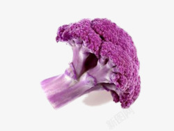 紫色的菜花片素材