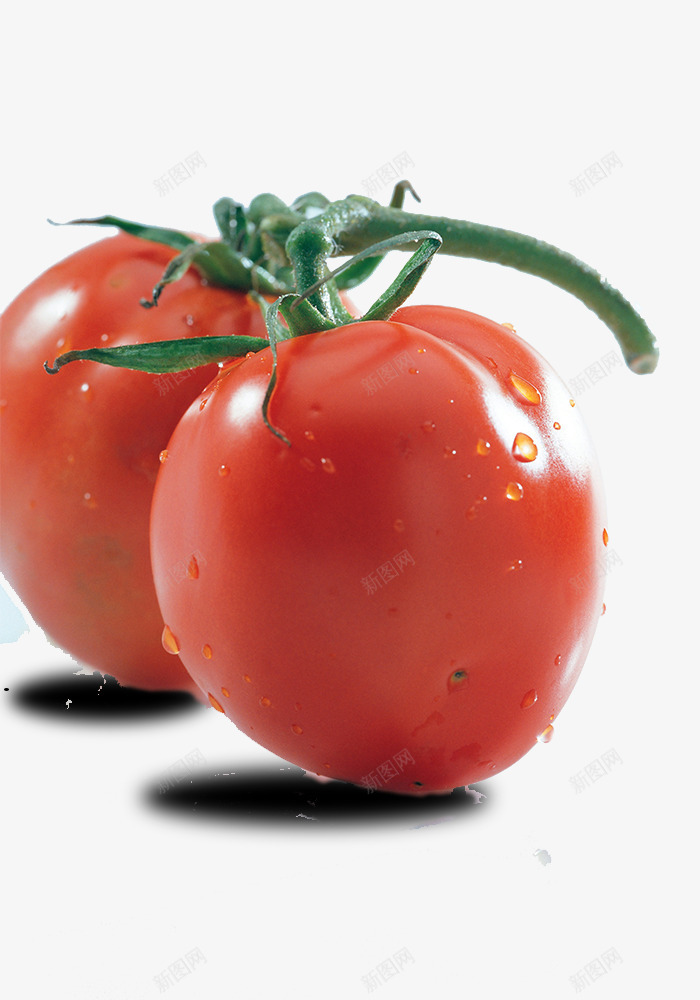 带枝圣女果png免抠素材_新图网 https://ixintu.com 圣女果 小番茄 水果 蔬菜 西红柿