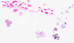 紫色清新花瓣漂浮素材