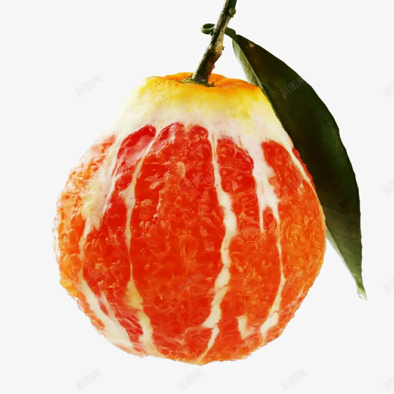 剥皮的血橙png免抠素材_新图网 https://ixintu.com 果子 植物 橙子 水果 血橙 食物