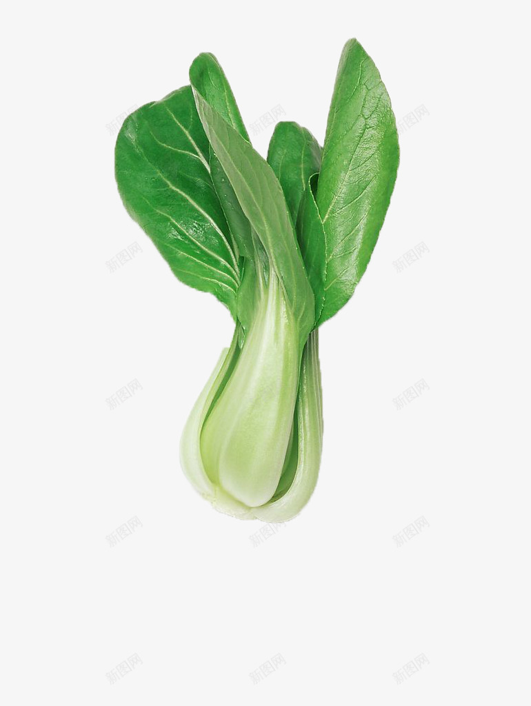上海青蔬菜png免抠素材_新图网 https://ixintu.com 健康 卡通蔬菜图片 油菜 绿色 青菜 食物 食物素材