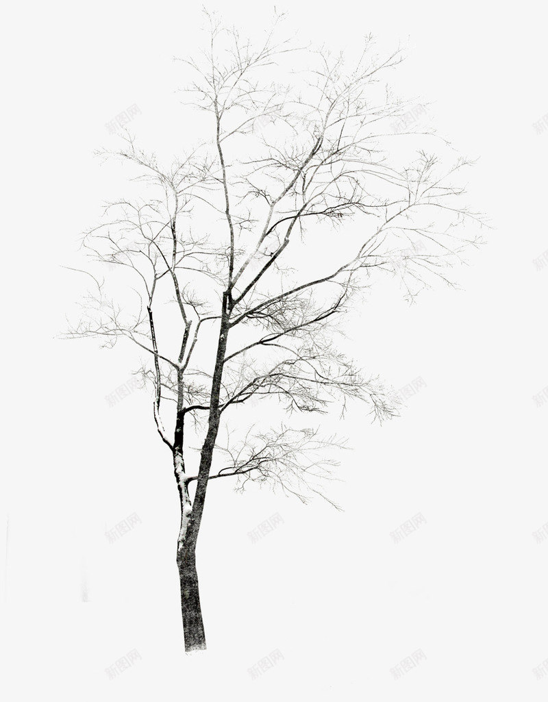 冬季景观创意大树png免抠素材_新图网 https://ixintu.com 冬季 创意 大树 景观