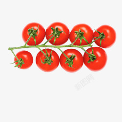 实物红色蔬果小番茄素材