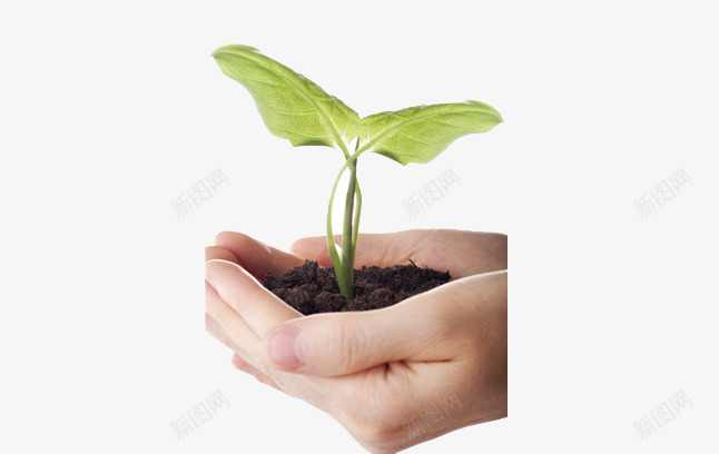 环保握手心png免抠素材_新图网 https://ixintu.com 小草图案 植物免费素材 环保标志 肥沃土壤
